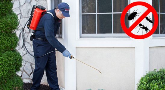 Soma Dezenfeksiyon böcek ilaçlama ve haşere kontrolü — ilaclama-tr.com